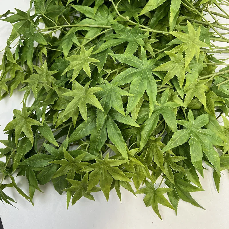 Slide image 1b6f980a878d44539fb8e45108f73a9b