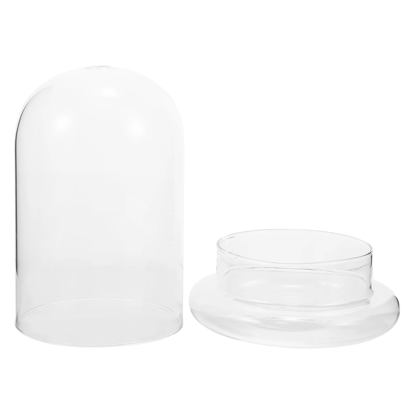 Moss Eco Bottle Plants Glass Cloche Bell Artificial Micro Landscape Accessory Clear Dome Display Ecological Desk Terrarium 2