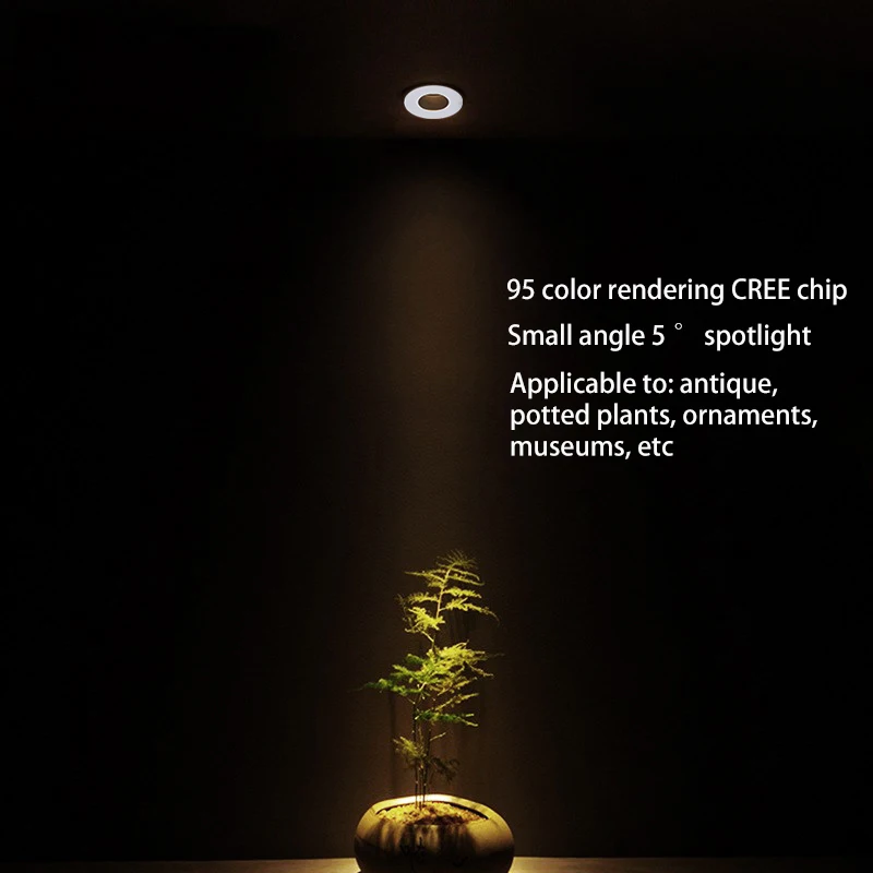 BRGT Led Spotlights Recessed Round 3W 5W Downlight Small Angle 5 Degree Spot Light For Potted Ornaments Plants Museums Lamp