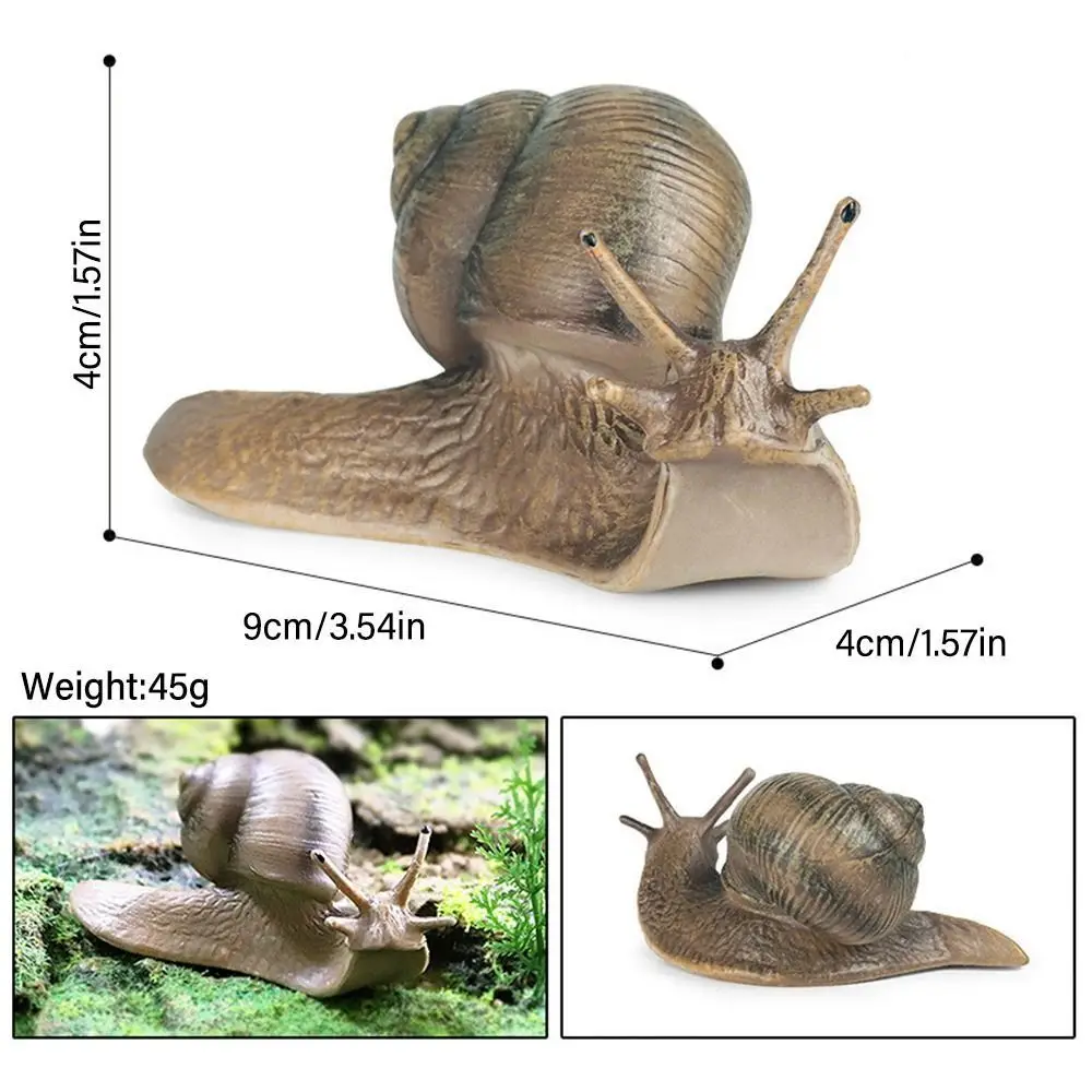 Delicate Solid Micro Landscape Children's Cognitive Education Snail Statue Simulation Insect Snail Model Garden Decoration