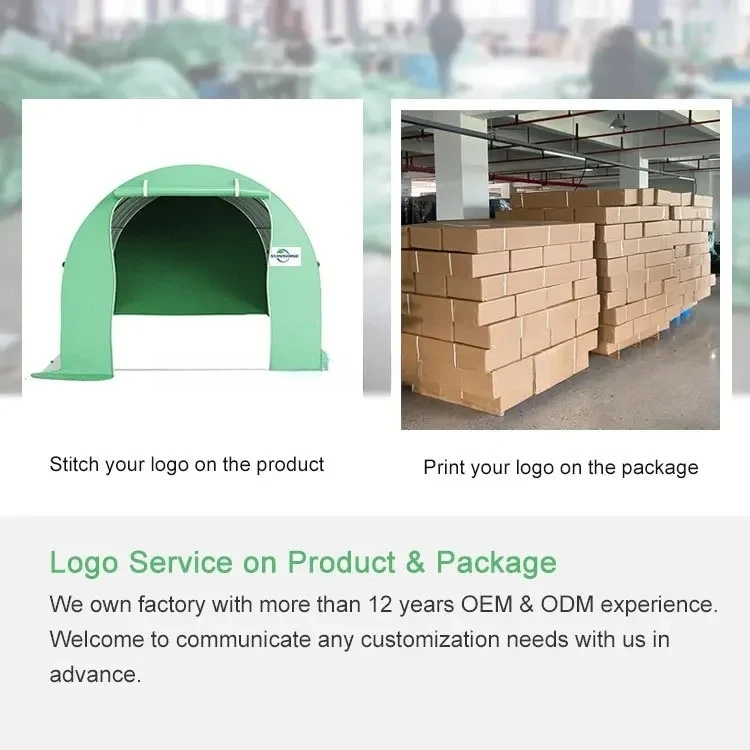 6x3x2m Hot Sale Foldable Growing Room Small Greenhouse Plastic Shed Single-Span Greenhouse For Strawberry - Image 4