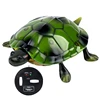 Children Novelty Funny Remote Control Turtle Toy Electric Walking Tortoise Model with Glowing Eyes Kids Toys Gift for Boys Girls 2