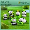 4Pcs New Panda Figurine Diy Home Kawaii Room Decor Miniature Fairy Garden Decoration Accessories Modern Children's Birthday Gift 4 4Pcs New Panda Figurine Diy Home Kawaii Room Decor Miniature Fairy Garden Decoration Accessories Modern Children's Birthday Gift 4