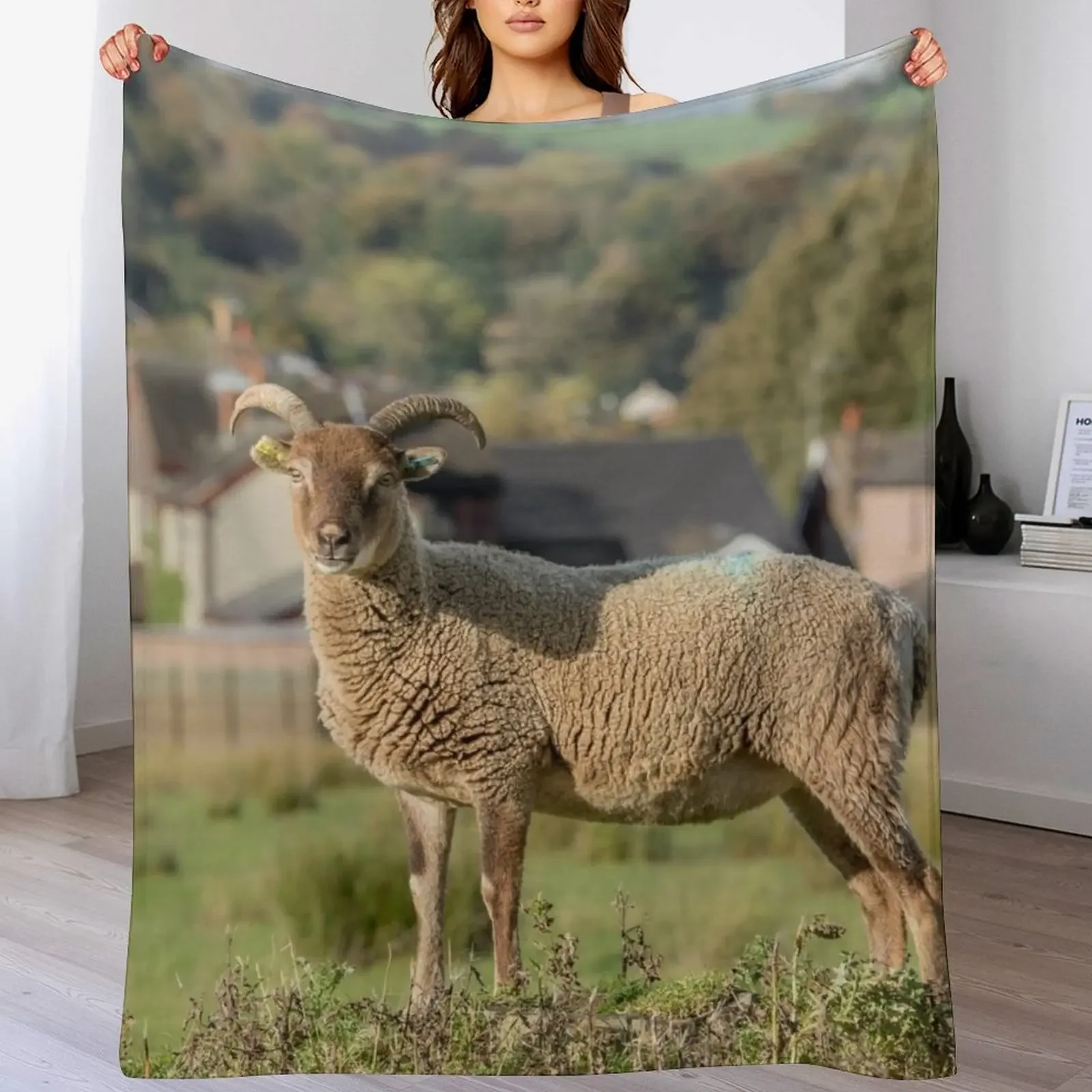 �� �� ���� ������ ���, ���Ÿ� ����Ʈ ��Ƽ�� �ö��� ķ�� ���