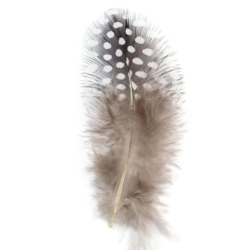 Pheasant Feathers 100pcs Natural Guinea Fowl For Crafts Jewelry Decoration