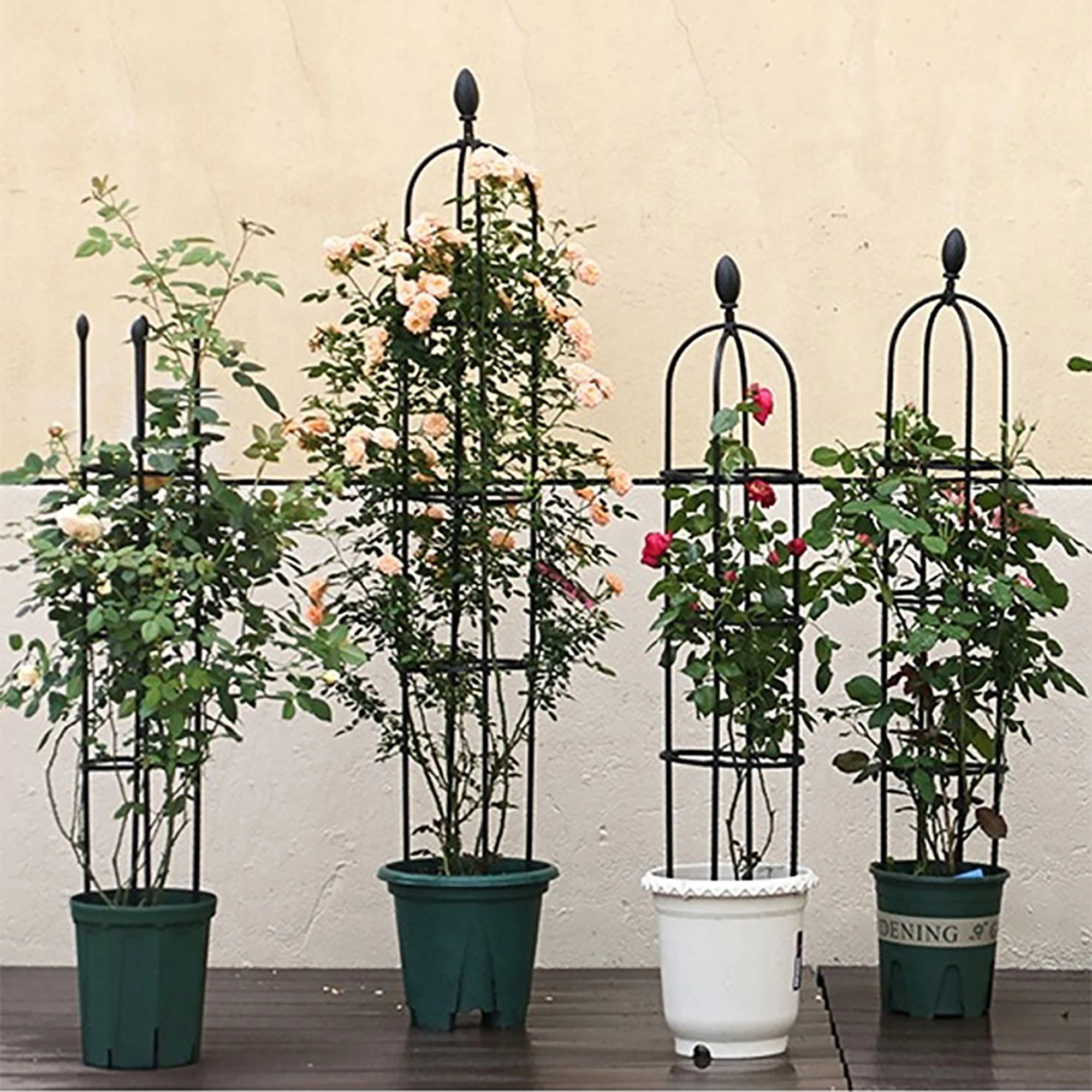 PlantClimbingFrameOutdoorFlowerStandGardenObeliskTrellis