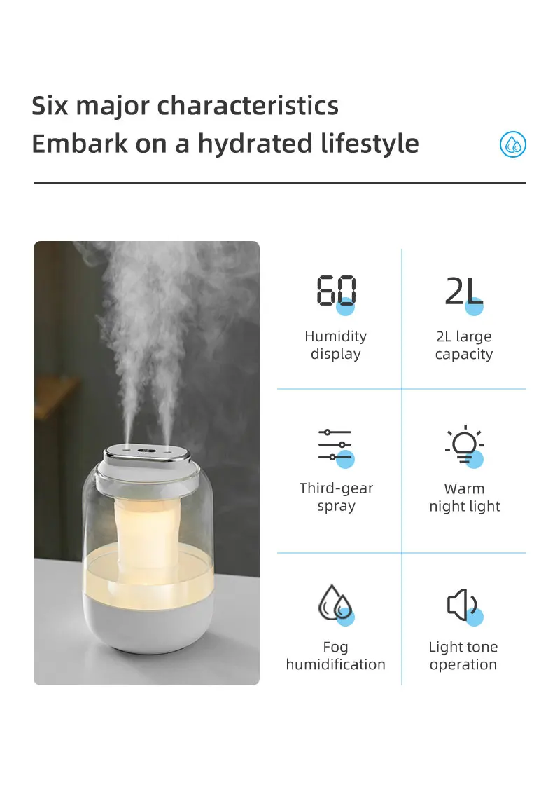 Description Picture 3 of item2025 New 2L Double Nozzle Air Humidifier USB Aroma Diffuser Essential Oil Purifier Aromatherapy Mist Maker Color Lights For Home