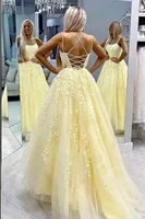 Tulle Spaghetti Straps Prom Dresses Long Lace Appliques Ball Gowns for Women - Image 3