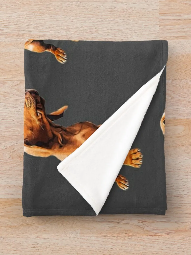 Vizsla ������-�밡�� Vizsla ������ ���, �ܿ� ħ�� ���, �ʴ��� ������ ���, ���� ���