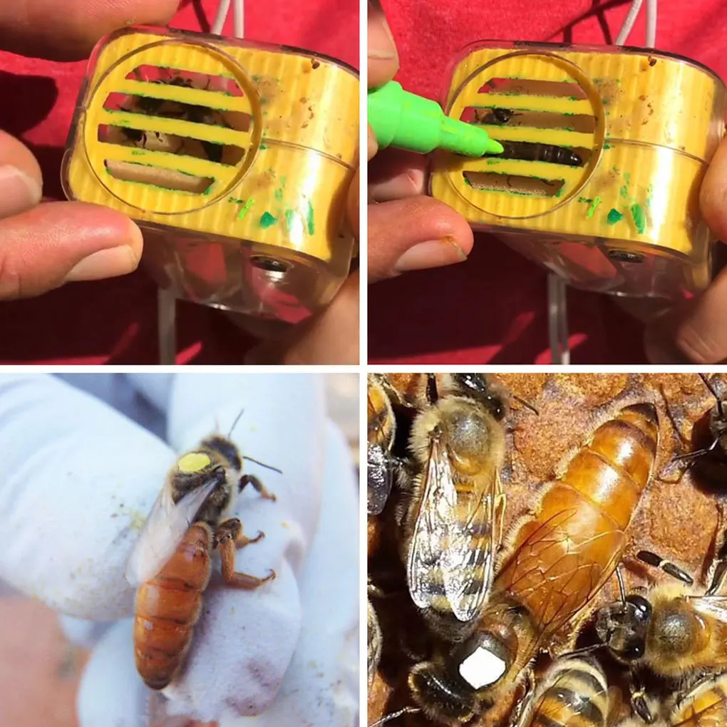 

New 1PC Rearing Queen Bee Marking Catcher Plastic Handed Marker Bottle Plunger Beekeeper Tool Garden Bee Tools