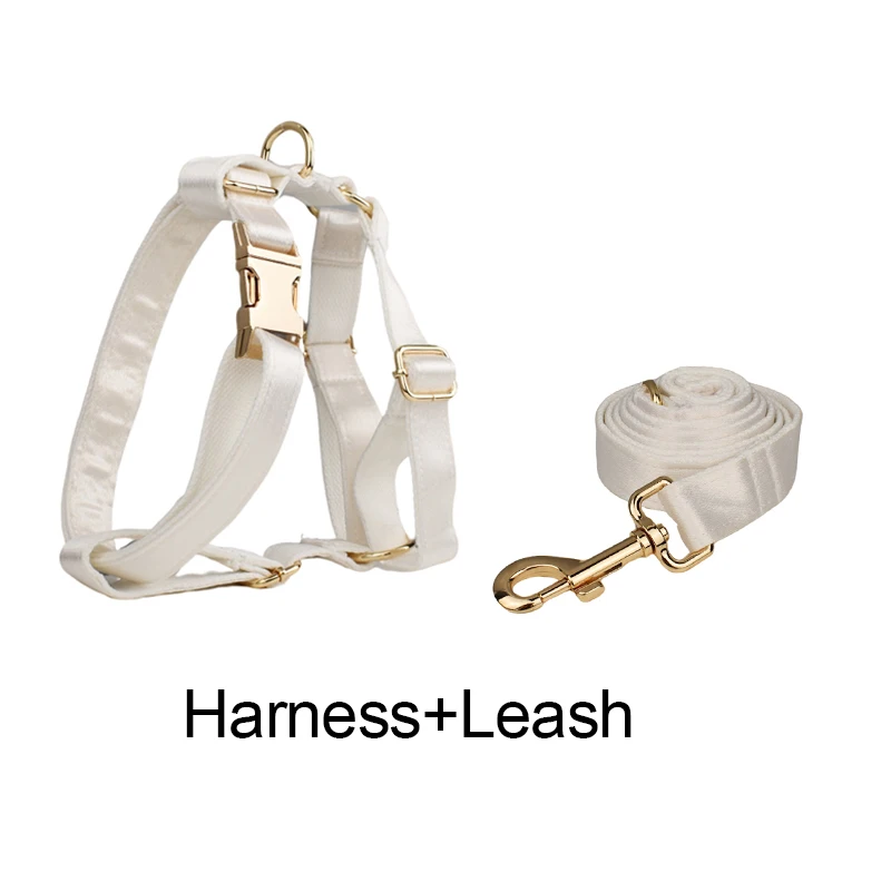 Harness leash