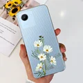 Case-c62