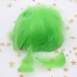 Elegant Natural Goose & Swan Feathers for Home Decor & Crafting - 100 Pieces (Fruit green)