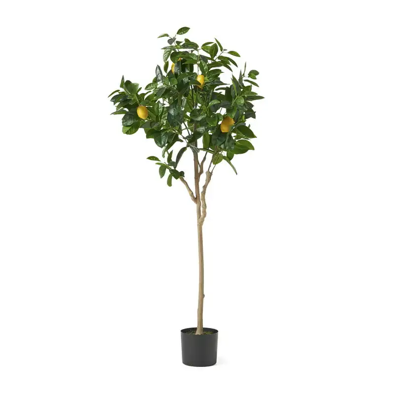 

5' x 2' Artificial Tabletop , Green