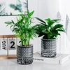 Mini Self Watering Flower Pot Fish Tank Transparent Plastic Plant Pots Self Watering Planter Pot Vase For Home Decoration 4
