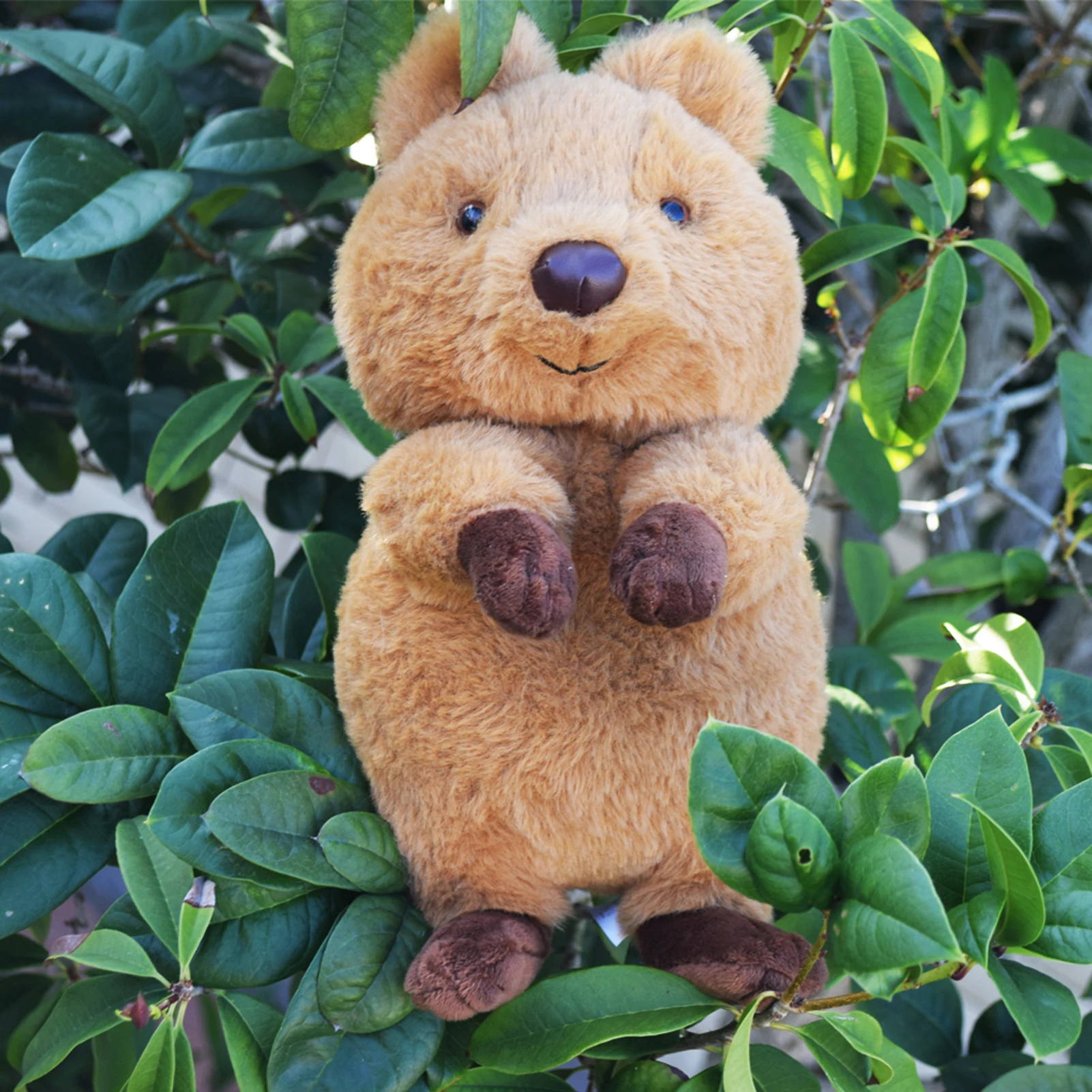 

Cute Quokka Stuffed Animal Plush Toy, Australia Animal Plushie, Cuddly Quokka Doll-10 inches