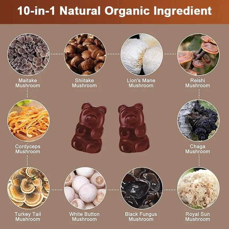 Lion's Mane Reishi Cordyceps Chaga Turkey Tail Nootropic Brain Memory & Focus Stress Relief-Ultimate Mushroom Complex Capsule