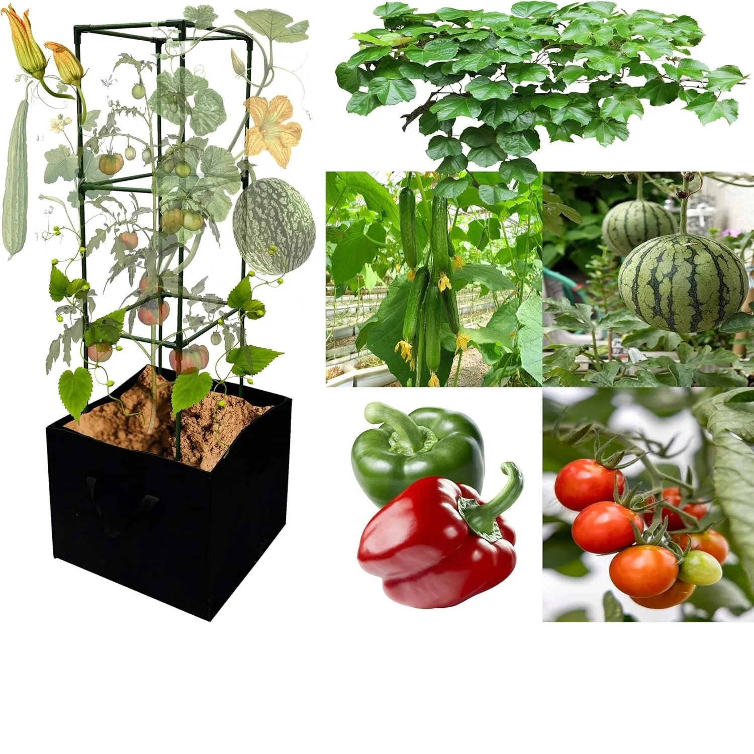 3 Pack Tomato Cages with Grow Bags, Tomato Planter, Trellis,48 inch
