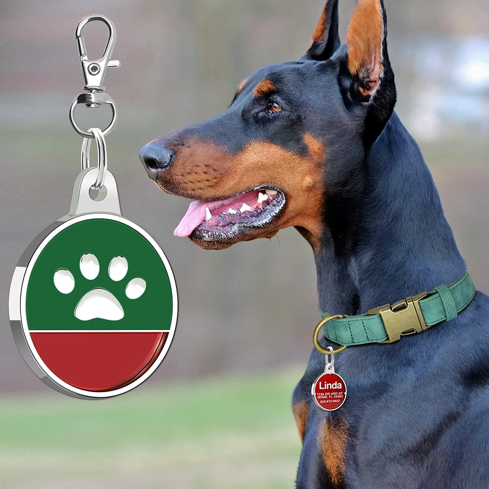 Medaglietta Cane Personalizzata Ibera - Acciaio Inox, Incisione Laser | Per Cani E Gatti Grandi - Foto 4