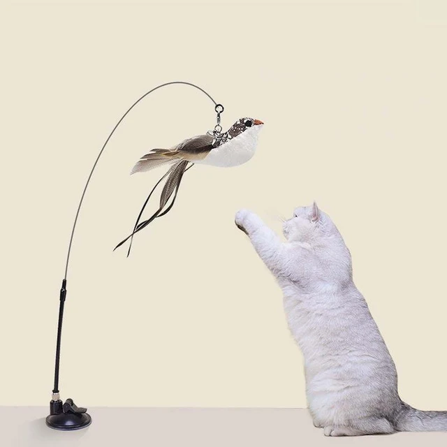 Upgraded Strong Suction Cup Steel Wire Long Rod Feather Cat-Teasing Stick  Cat Self-Hi Funny Kitten Toys Cat Fishing Pole Toy - AliExpress