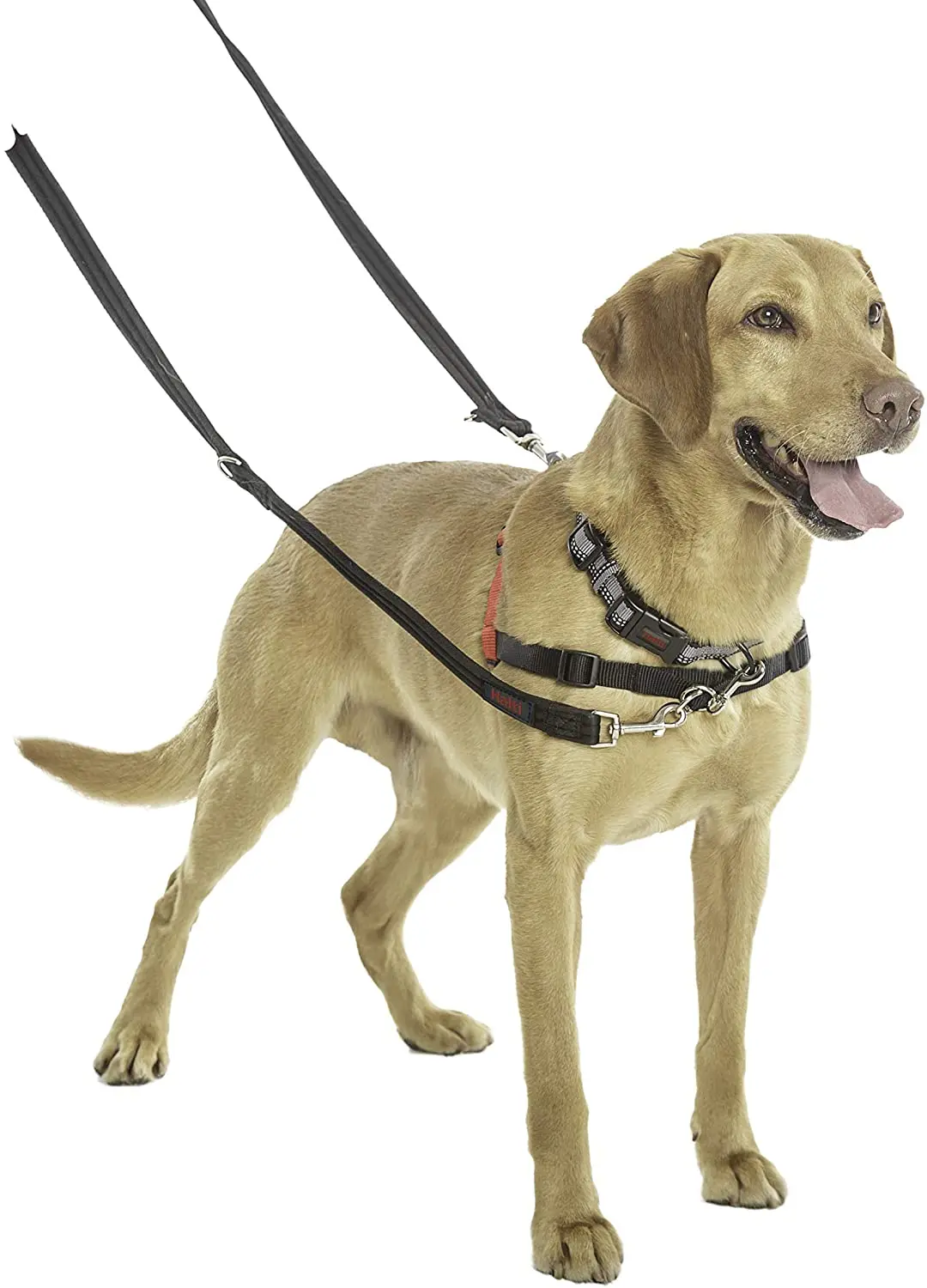 Halti Training Lead for Dogs Multi Functional Double Ended Lead Hands Free Training Walking