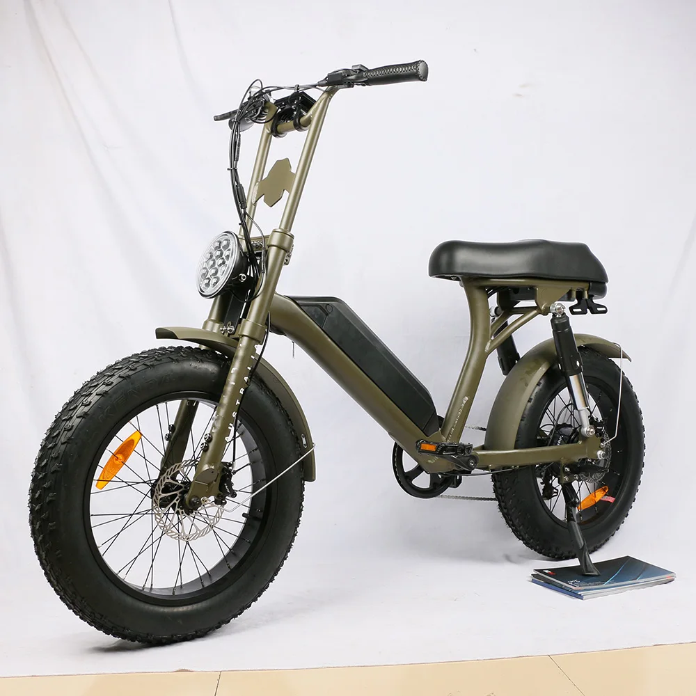 48V 250w Rear Hub Motor with 13ah Lithium Battery Dirt Bike 450cc Off-road Motorcycles E-bike 1000w Electric Bike Bafang