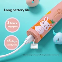 Children Electric Toothbrush Cartoon Kids With Replacement Head Ultrasonic  IPX7 Waterproof Rechargeable Sonic Toothbrush 5