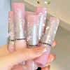 Floral Mirror Glass Solid Lip Gloss Water Light Round Tube Lipstick Clear Oil Jelly Lip Glaze Natural Nude Moisturizing Lip Tint 6