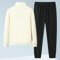 Décontracté athlétique pull pantalon à manches longues survêtements costume hommes Sport Cardigan col montant sweats pantalon de survêtement 2 pièces ensemble 2