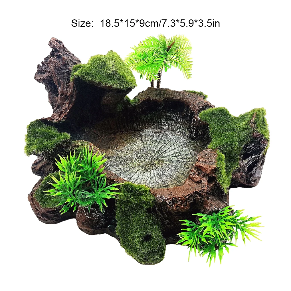 Sturdy Reptile Feeder Bowl for Feeding Sessions Easy To Clean Reptile Food Water Dish