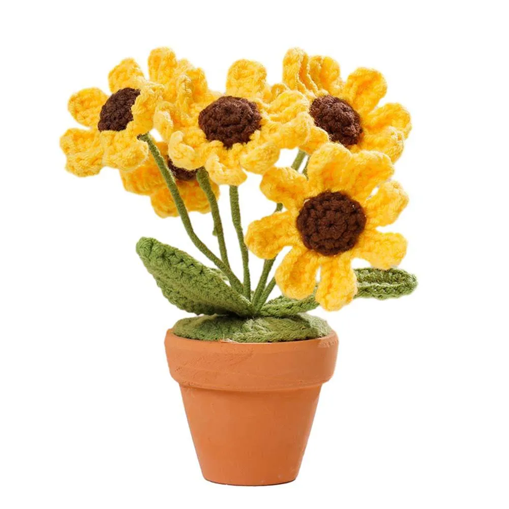 

Handcrafted with care this handwoven bouquet finished small daisy potted table decoration will enhance any room in your home