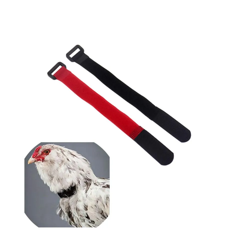 4 Stuks Pik Nekband Haan ​​nek Kraag Haan ​​nek Riem Kippenhalsband Kippen Nekband Kippen Halsband Geen Kraaienband Anti Pikspray Voor Kippen Haan ​​ kraag 2 Pak Anti-lawaai Plastic