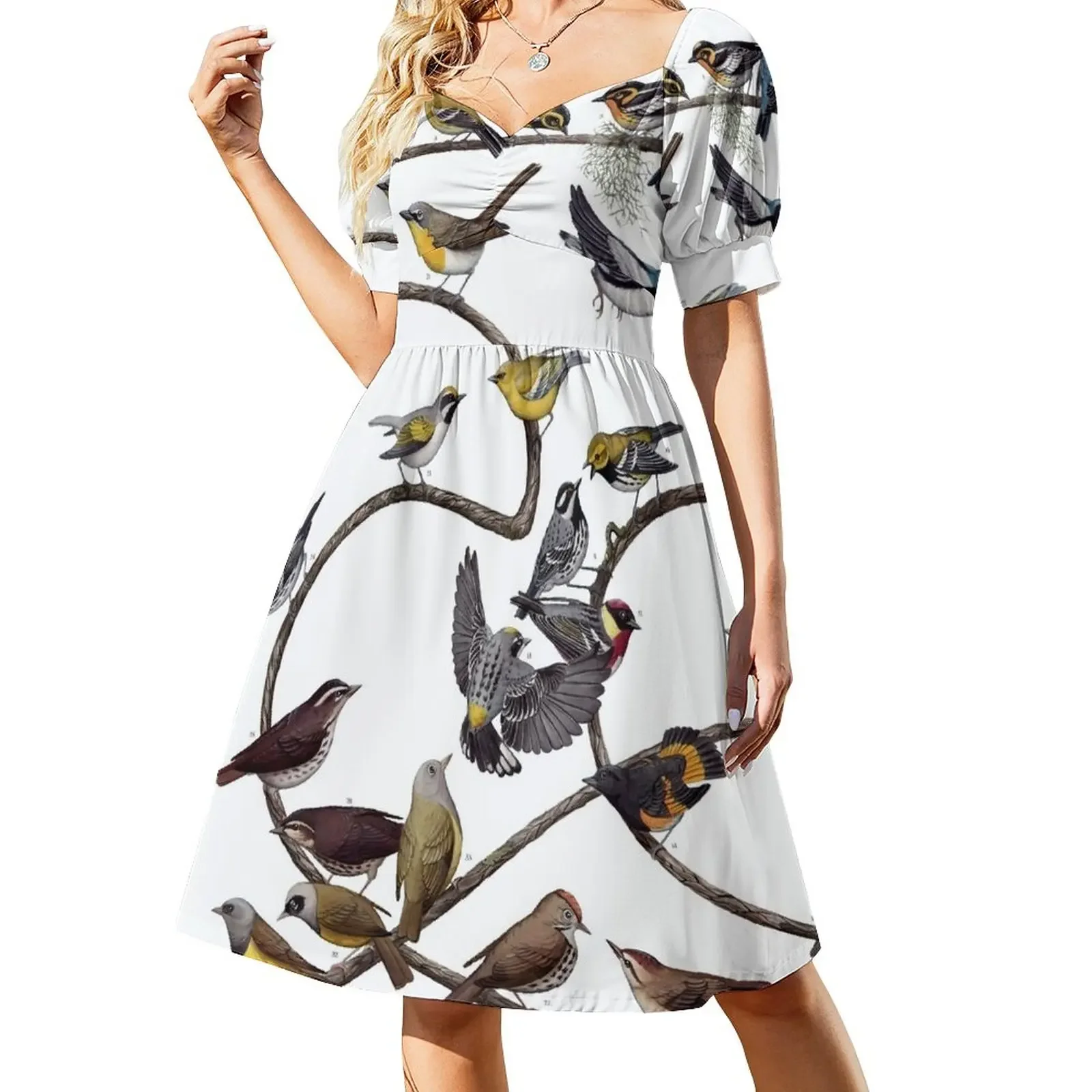 

Warblers of New England Sleeveless Dress chic and elegant evening dress elegant dresses plus sizes