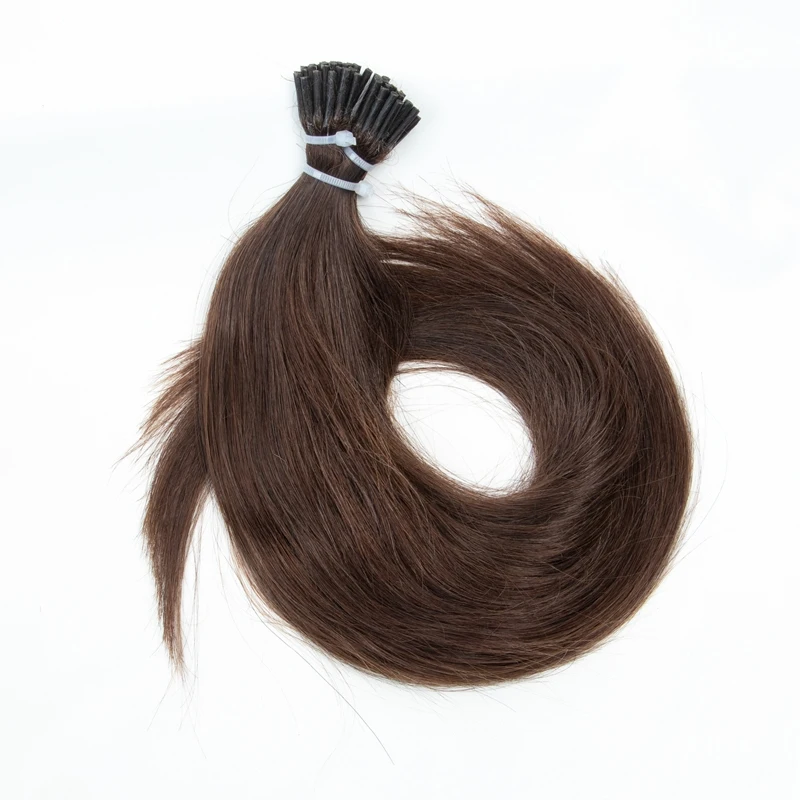 Chocolate Brown 02