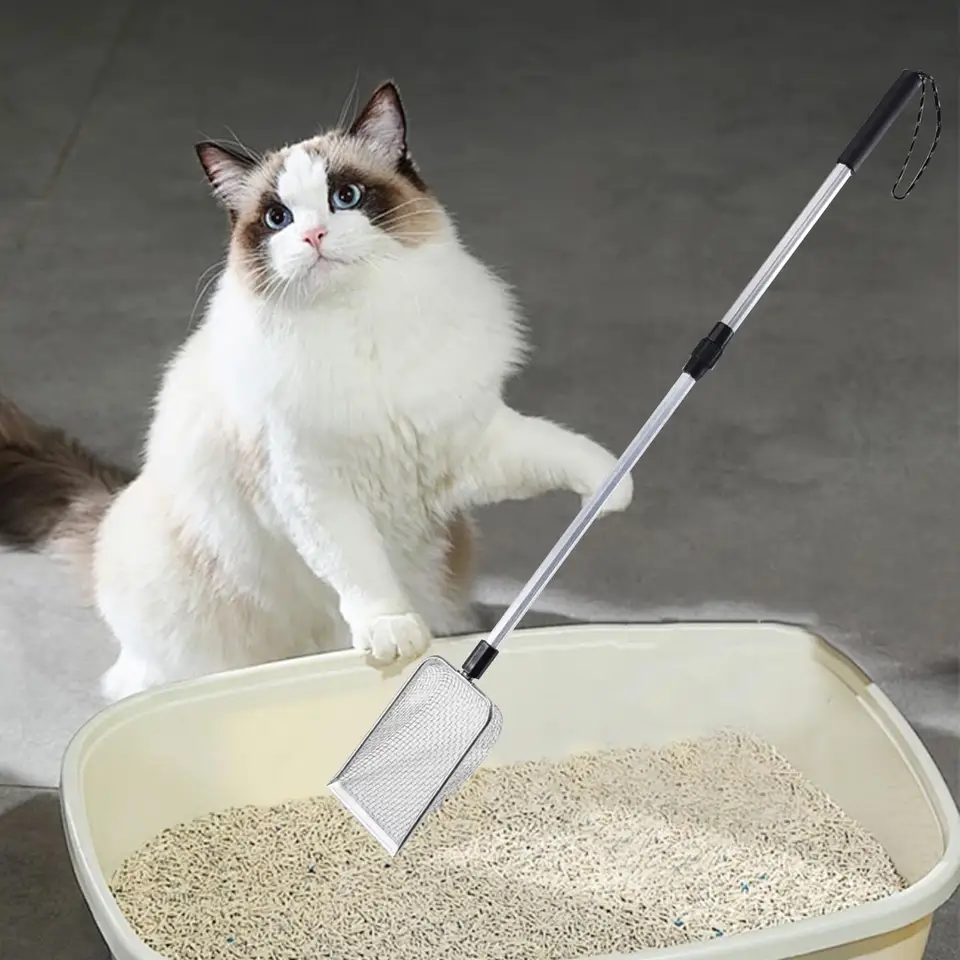 Kitty Litter Boxes Scoop Best Clay Litter VANZACK 2pcs Extra