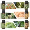 Woody Theme Fragrance Oils Set 2