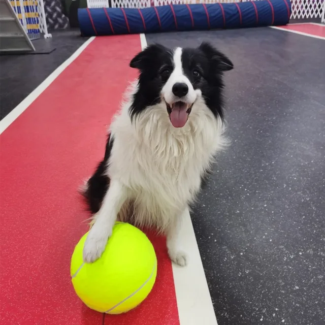 Jumbo Dog Tennis Ball Toy 2