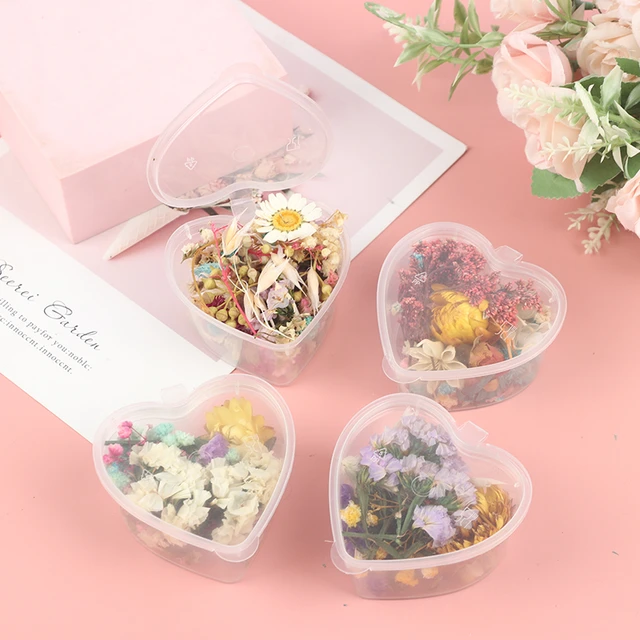 1Box Dried Flowers Small Flowers for Crafts Epoxy Resin Casting Mold DIY  Aromatherapy Home Decor Wedding Decoration Accessories - AliExpress