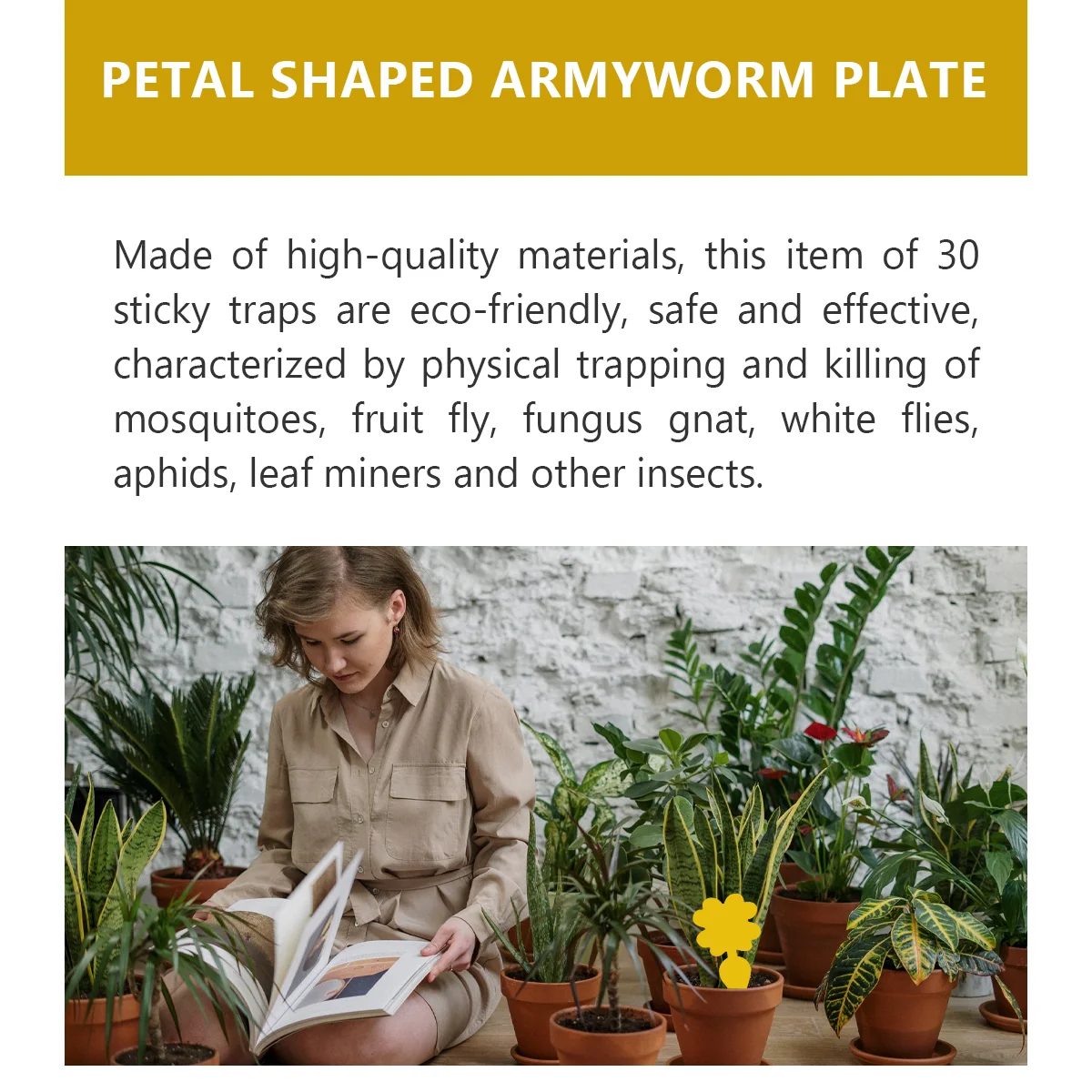 Рисунок 3 - ловушка насекомых