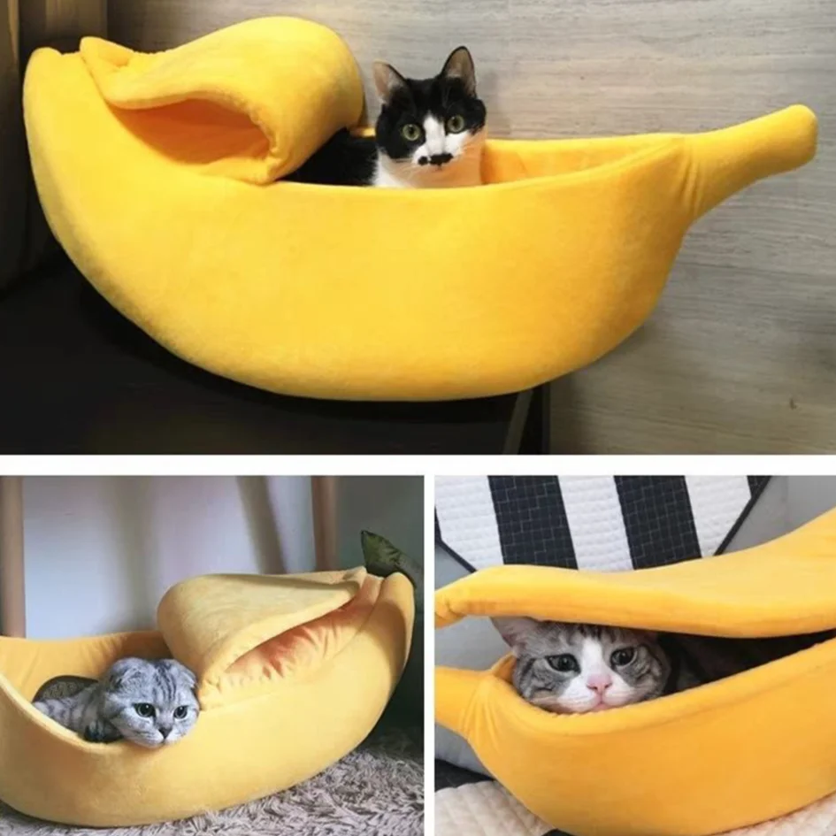 S89ab46dbcd8b465db7dbc5bc324aa289x