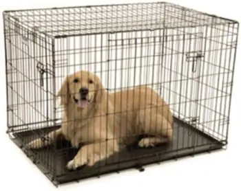Precision Pet Products Two Door Provalue Wire Dog Crate, 42 Inch, For Pets 70-90 lbs, With 5-Point Locking System 2