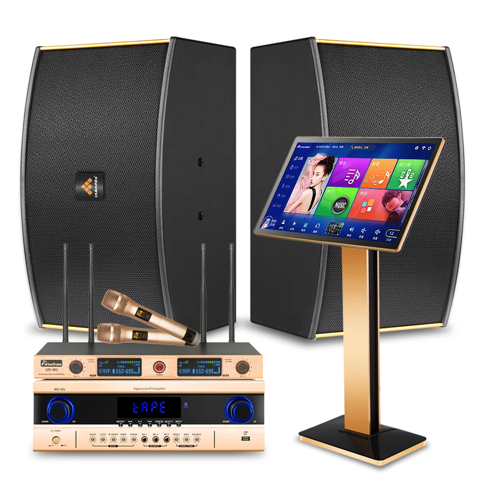 21.5" Karaoke Machine Home Theatre System With Speakers Microphones