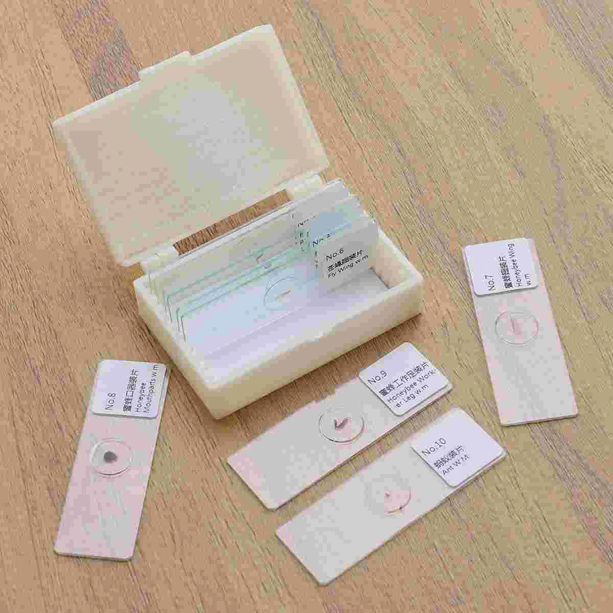 

10 PCS/Set Biology Sample Specimens Microscope Prepared Specimens Slides of Insects Plants Animals Glass Shows Samples