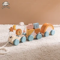 Juguetes Montessori para bebés, tren de madera, juguetes educativos para bebés, carrito de bloques de arcoíris de madera, juguetes de aprendizaje para bebés