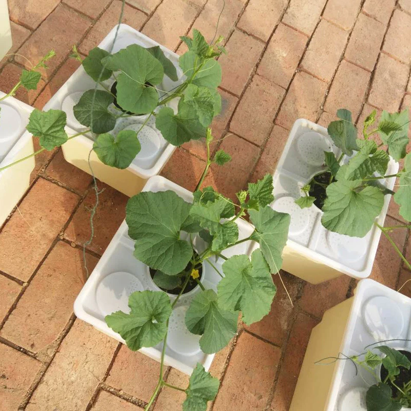 1~5Pcs Home Balcony Soilless Cultivation Equipment Indoor Plastic Dutch Barrel Greenhouse Vegetables Substrate Hydroponic System