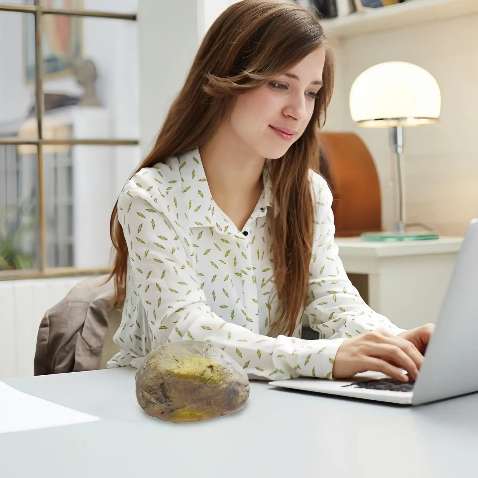 Fake Rock for Key Outdoor Natural Rock Safe Box Waterproof Holder for Shelf Security Yard Home Landscaping Garden Outside