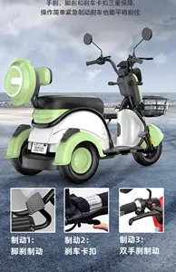 Electric Tricycle Household Small Elderly Scooter Ladies Pick-up Children Parent-Child Fashion Battery Car