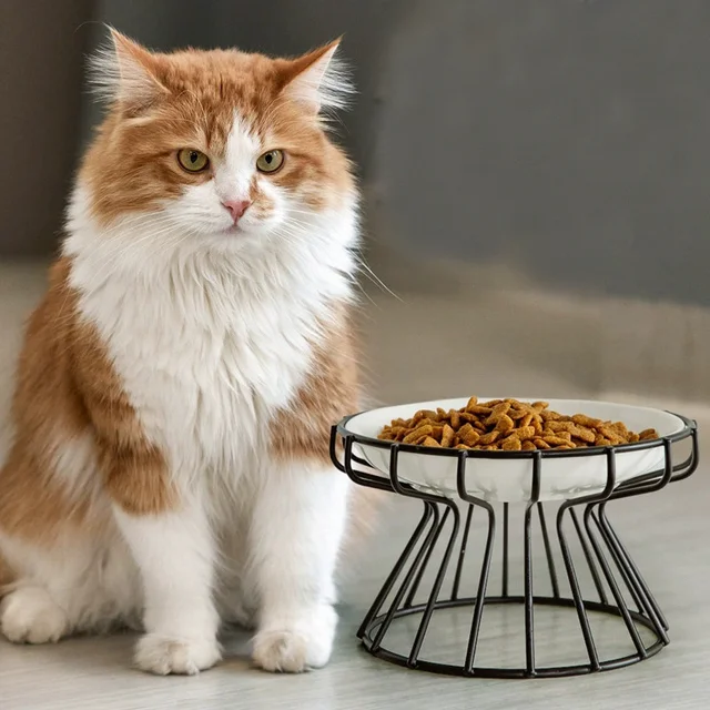 2pcs set (1pc rack + 1pc bowl) ceramic high-rise cat bowl,Easy to Clean 1pc Raised Ceramic Cat Food Bowl - Anti-Spill Pet Bowl 2pcs set (1pc rack + 1pc bowl) ceramic high-rise cat bowl,Easy to Clean 1pc Raised Ceramic Cat Food Bowl - Anti-Spill Pet Bowl