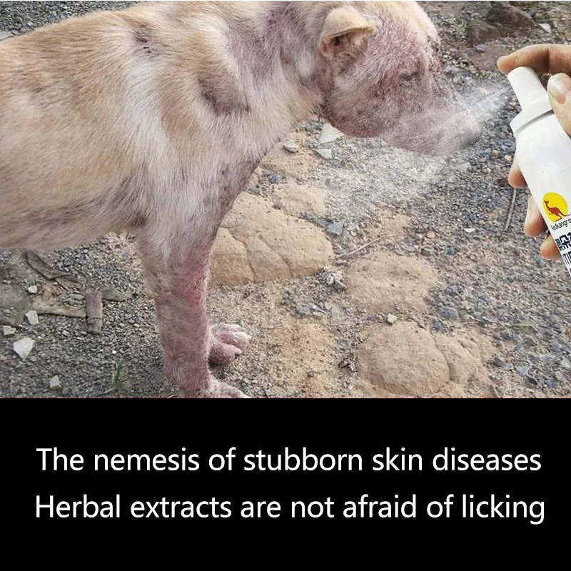 External use of special spray for dog skin diseases for the treatment of pet dog dermatitis, itching, fungi and mites