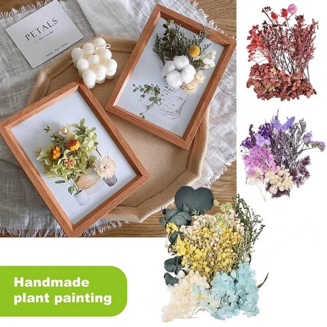Colorful Dried Flowers Plants Decoration Craft Natural Pressed Flowers Dry  Leaves Bulk Epoxy Resin Jewelry Molds Art Craft Decor - AliExpress